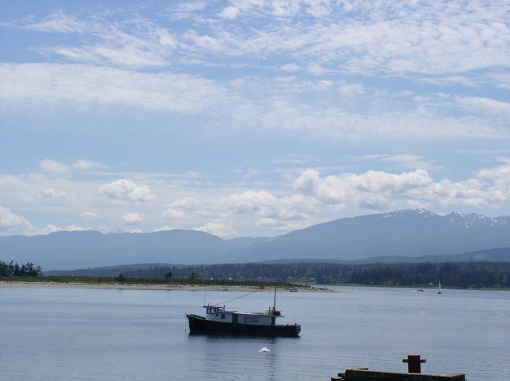 Comox Dock overlooking Comox Valley, B.C., CA by Larry B Photography